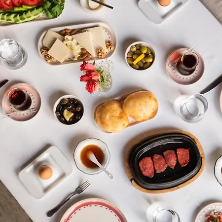 Viento (adults Only)