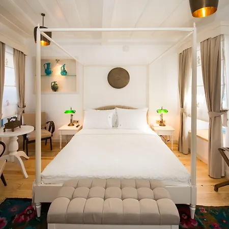 Viento (adults Only)