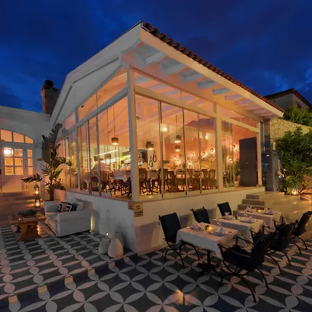 Viento (adults Only) アラカティ