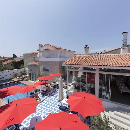 Viento (adults Only) Hotell 4*