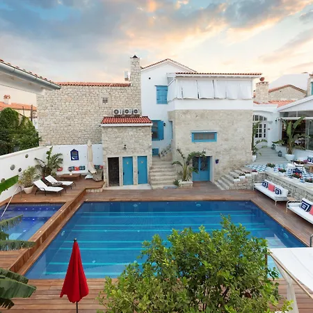 Viento (adults Only)