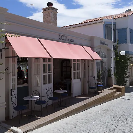 Viento (adults Only)