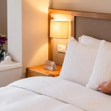 Viento (adults Only) Hotell