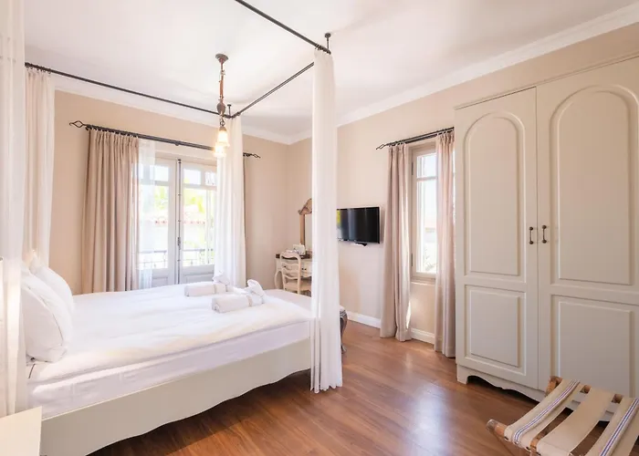 Viento (adults Only)