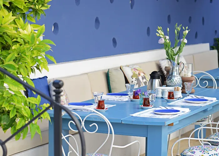 Viento (adults Only)