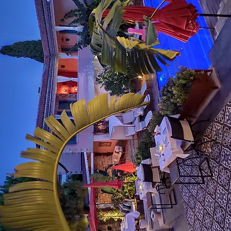 Viento (adults Only) מלון אלאקאטי