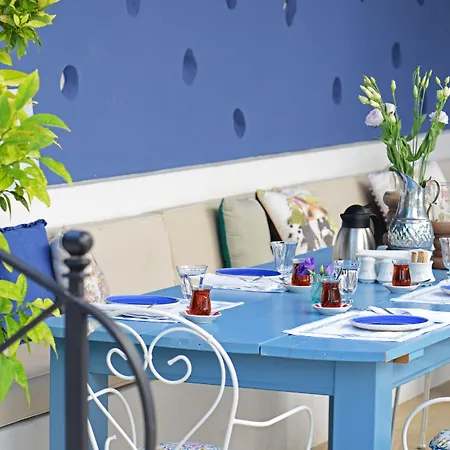 Viento (adults Only)