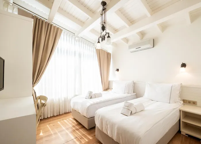 Hotel Viento (adults Only)